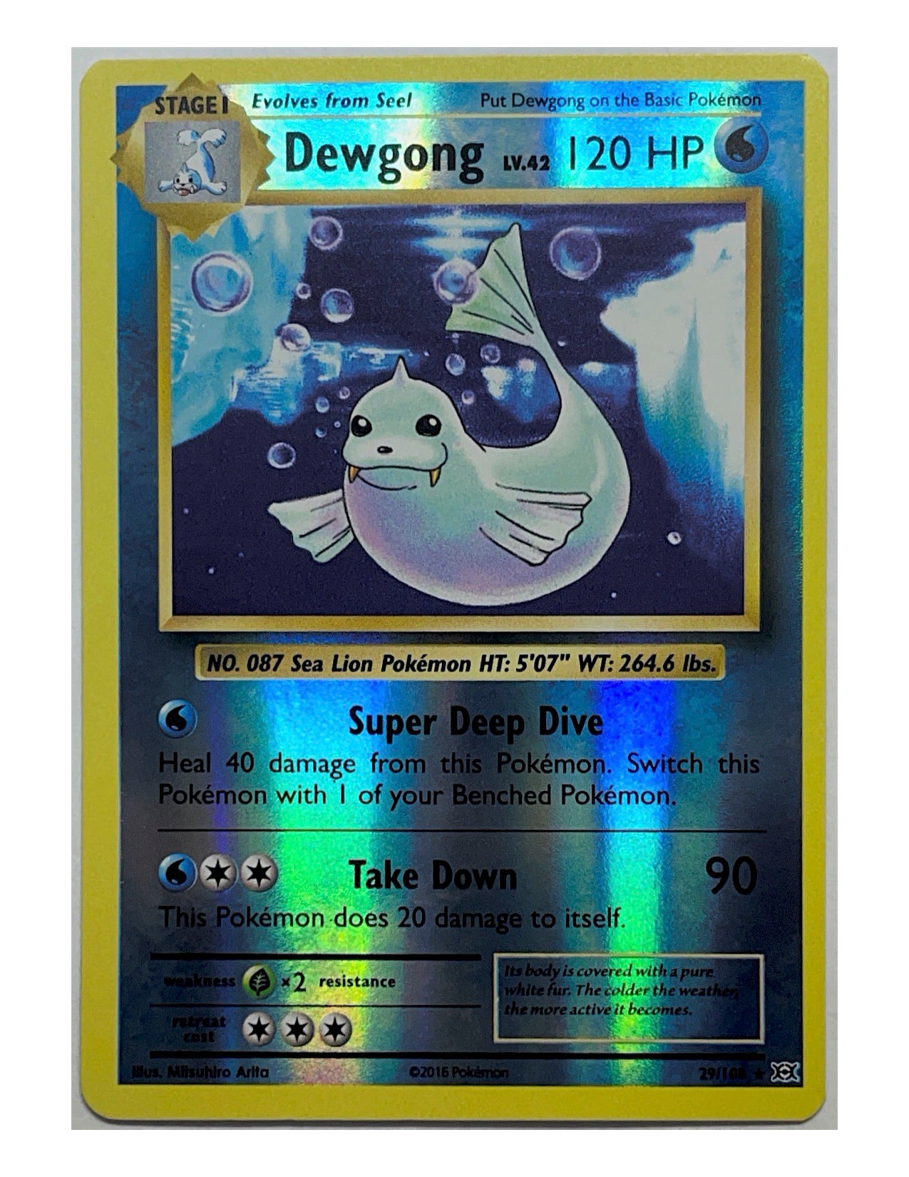 Dewgong 29/108 Reverse Holo Rare - Evolutions