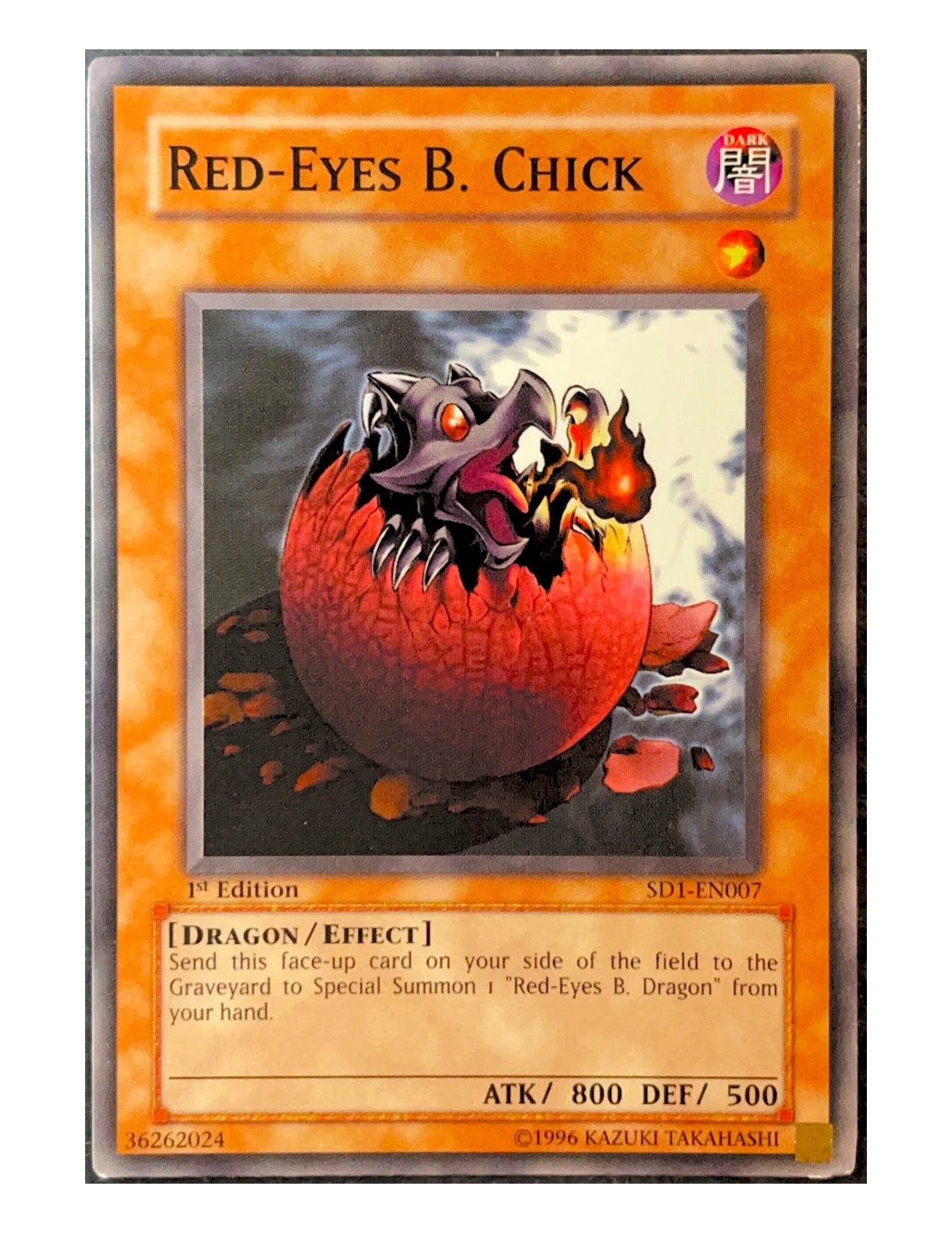 Red-Eyes B. Chick SD1-EN007 Common - 1st Edition