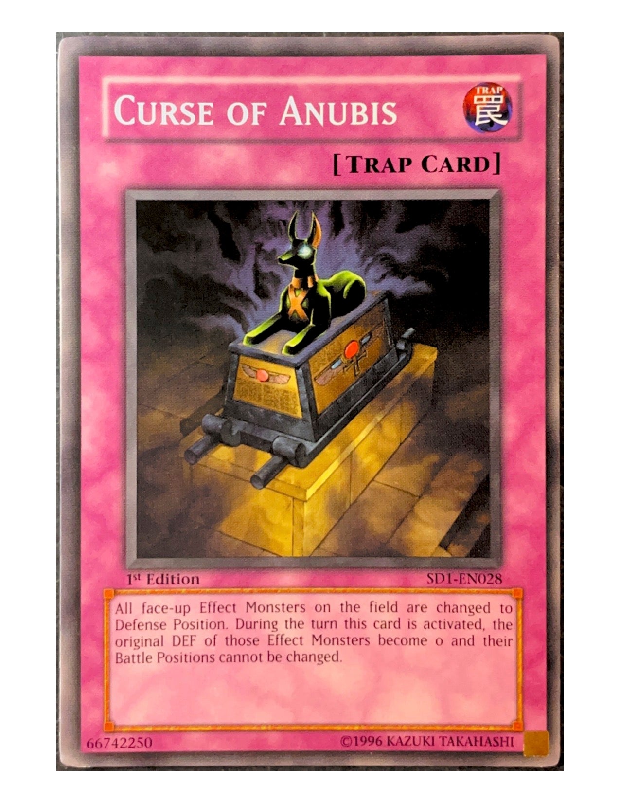 Curse Of Anubis SD1-EN028 Common - 1st Edition